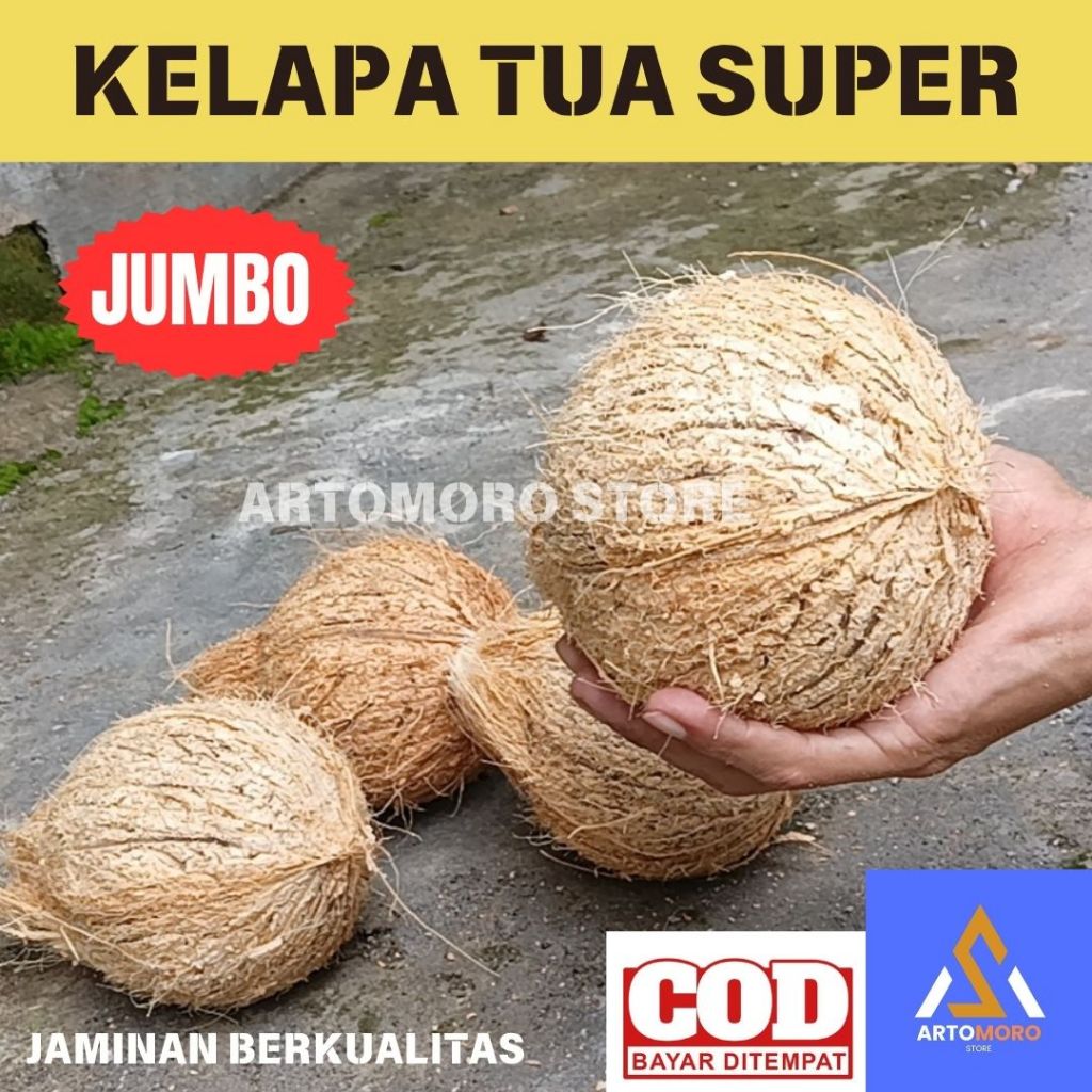 

KELAPA | KELAPA SUDAH KUPAS | KELAPA TUA | KELAPA SUPER