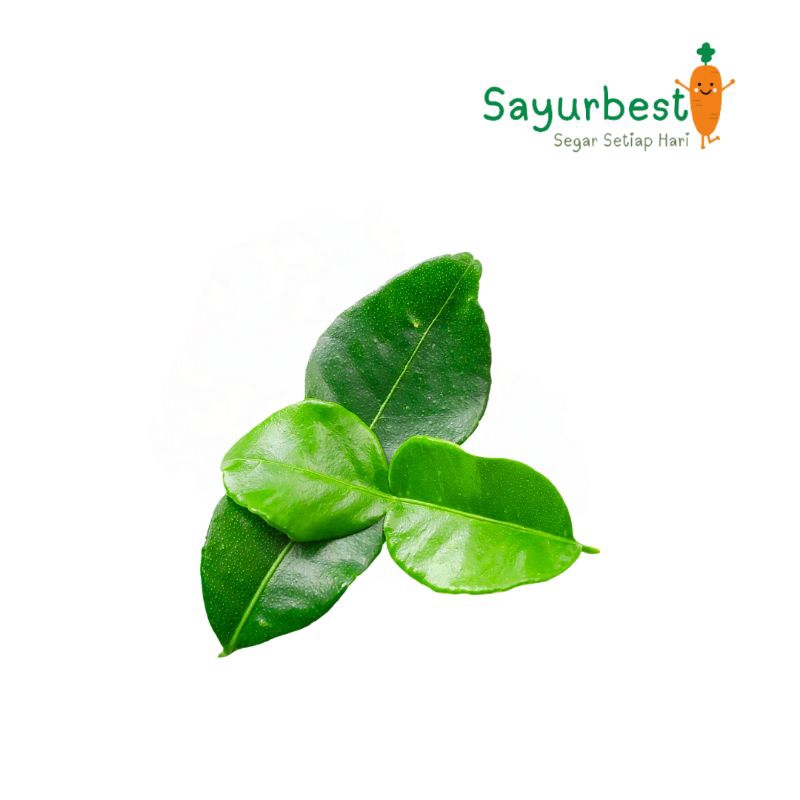 

Daun Jeruk Perbungkus