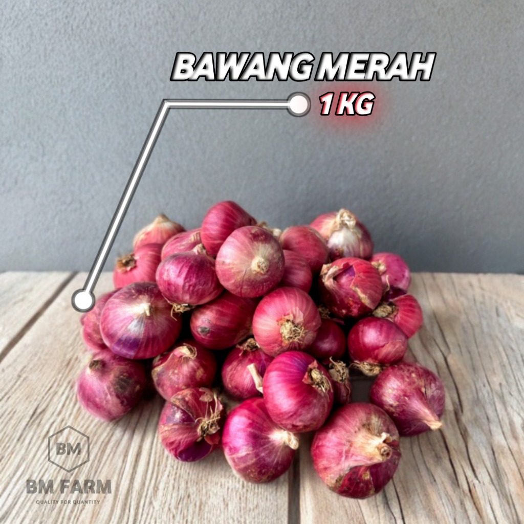 

BAWANG MERAH 1 KG LANGSUNG DARI PETANI