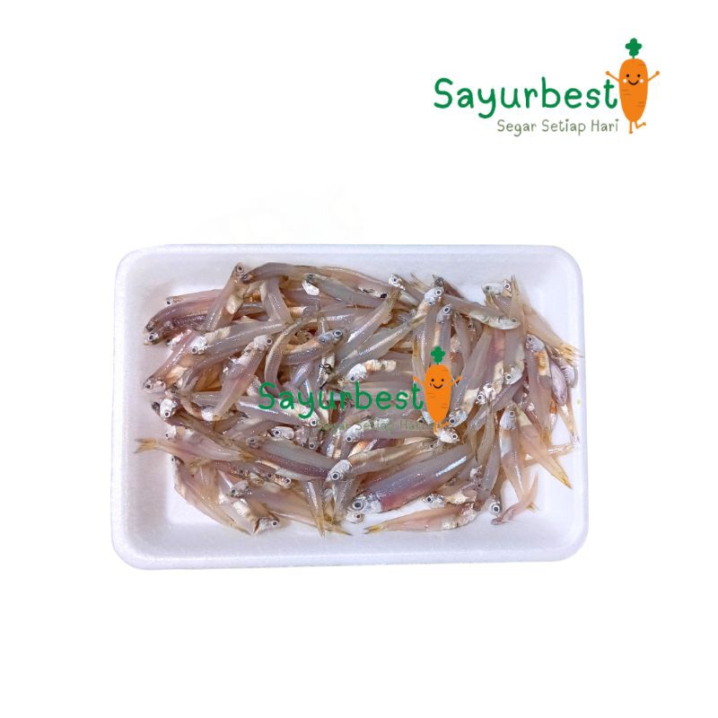 

(PO KIRIM BESOK) Ikan Teri Basah 250 Gram Fresh