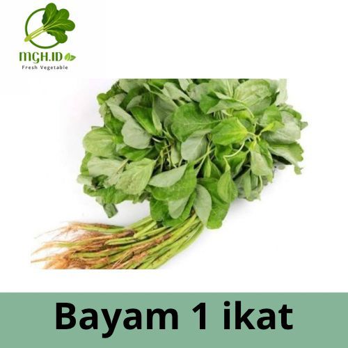 

[KIRIM INSTAN] Sayur Bayam Segar Per Ikat