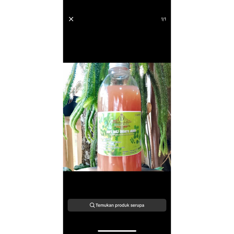 

saripati bidara 1 liter