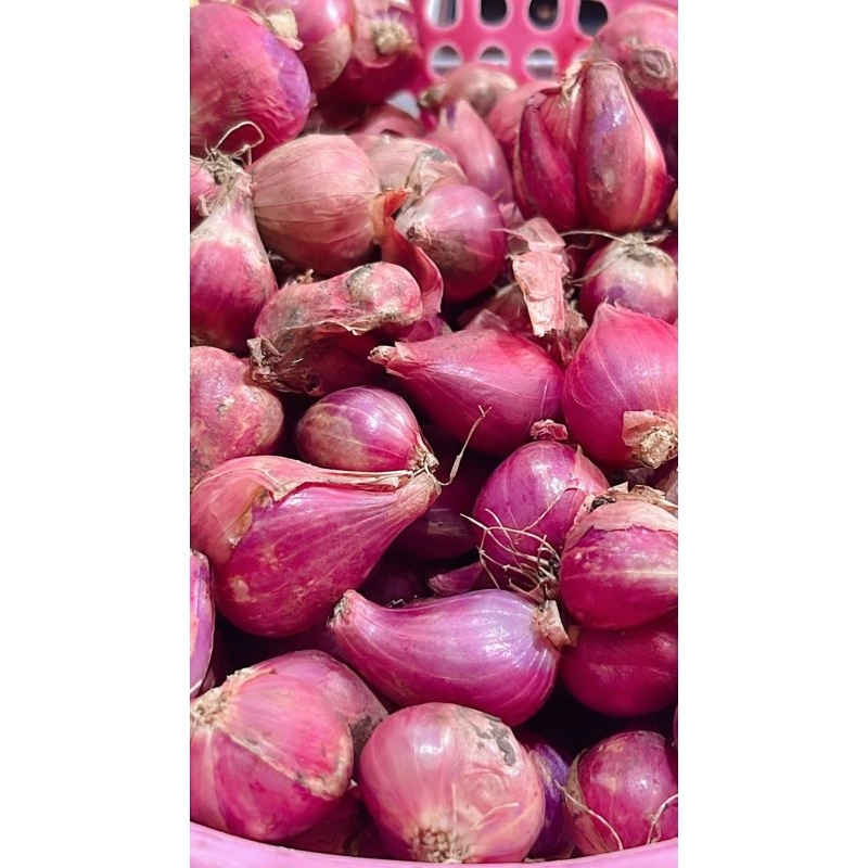 

(B2) BAWANG MERAH LOKAL BAWANG SAYUR UKURAN BESAR BERAT 500 GRAM DAN 1 KG