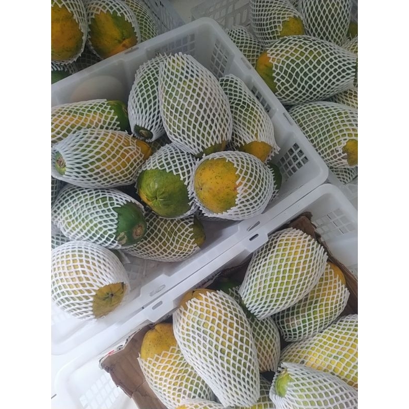 

PEPAYA HAWAI
