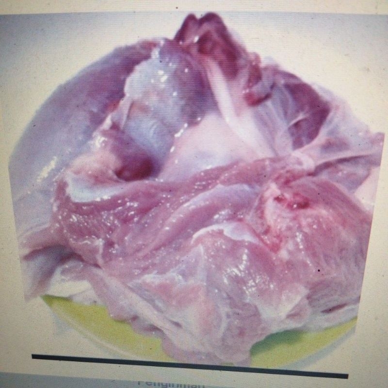 

Daging Domba minim lemak | Lamb 500gr