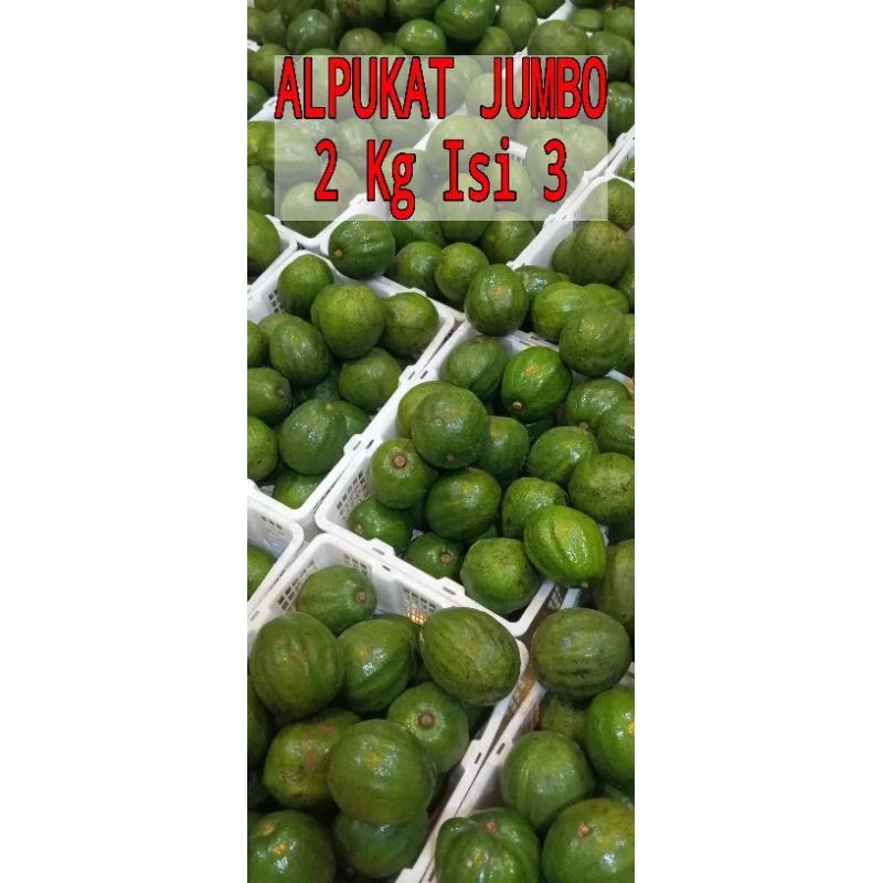 

Apukat mentega kendil markus jumbo