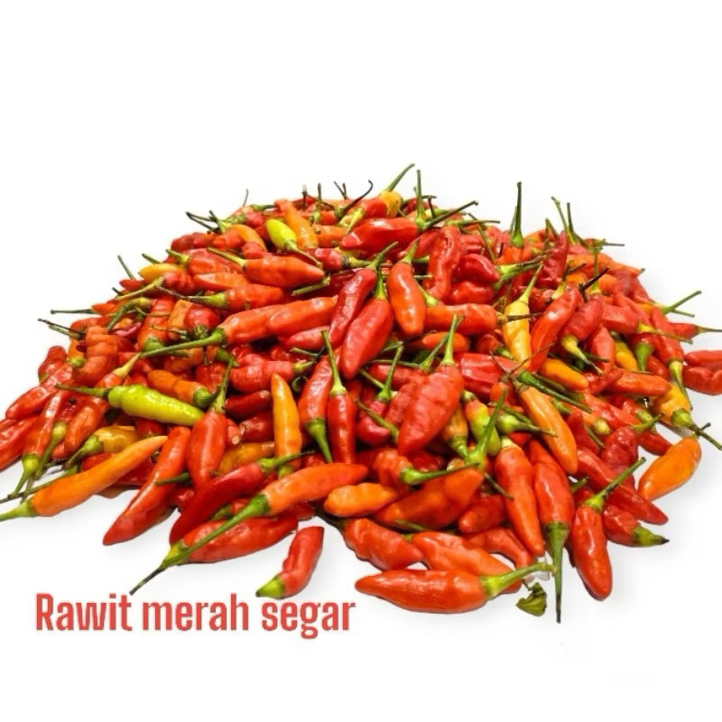 

Cabe Rawit Merah Fresh Pilihan 1kg
