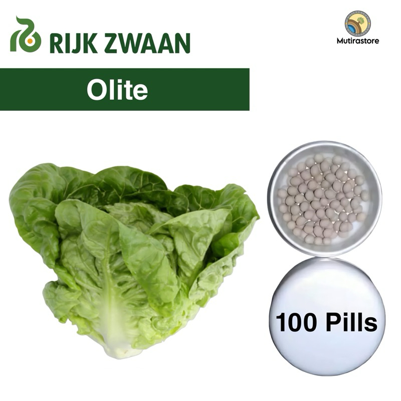 Benih Selada OLITE RZ Repack 50 dan 100 Pills Cos Lettuce Rijk Zwaan