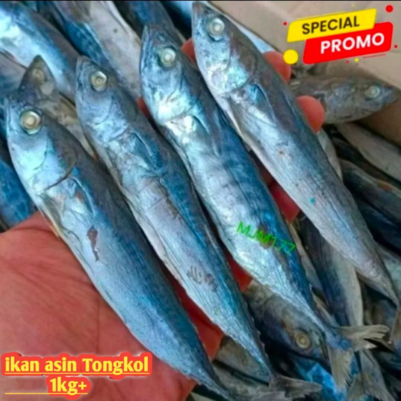 

ikan asin tongkol 1kg Special Superan