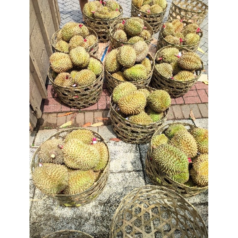 

Durian Monthong Palu Utuh Creamy Manis Varian 3-5kg