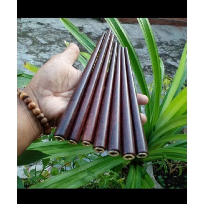 Once pipa cangklong padutan kayu galih asem 20cm