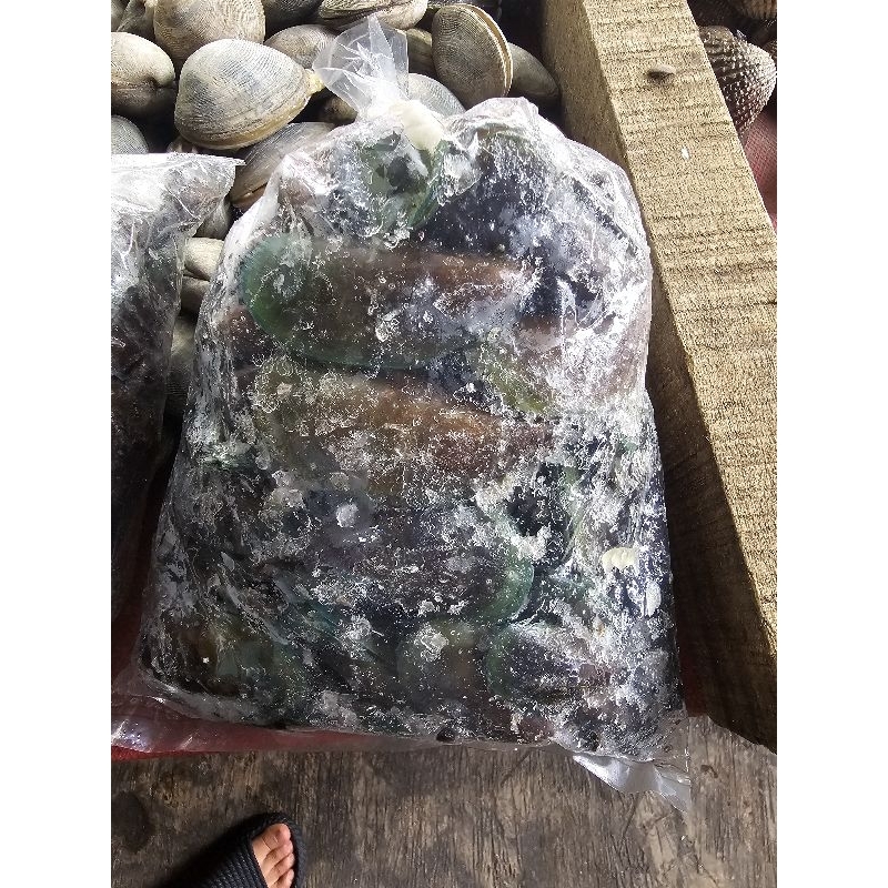 

KERANG HIJAU FROZEN 1PACK