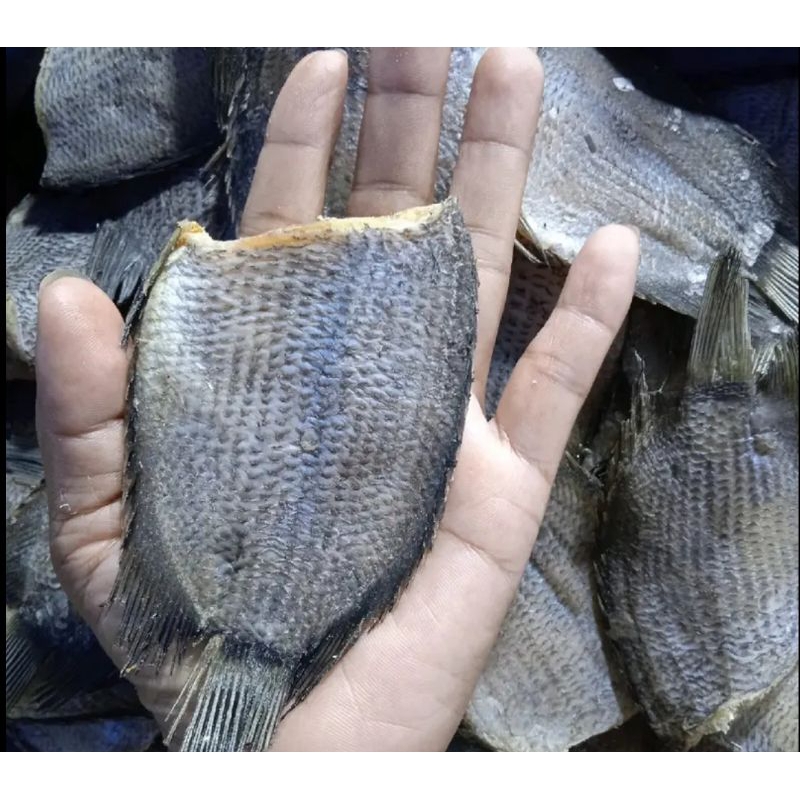 

Ikan Sepat Asin 500 Gram