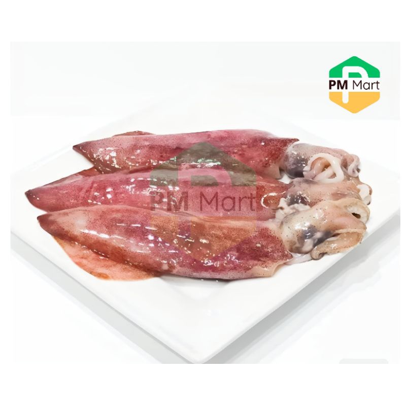 

Cumi Segar Besar 250 Gram Cumi Basah