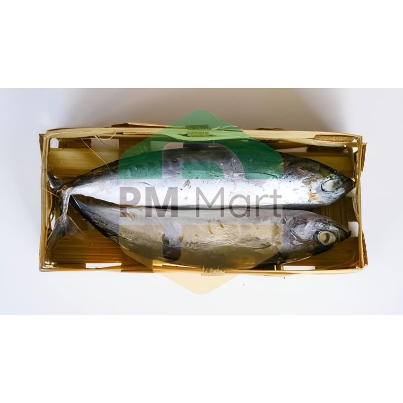 

Ikan Cue Keranjang Isi 2 Ikan Pindang Segar