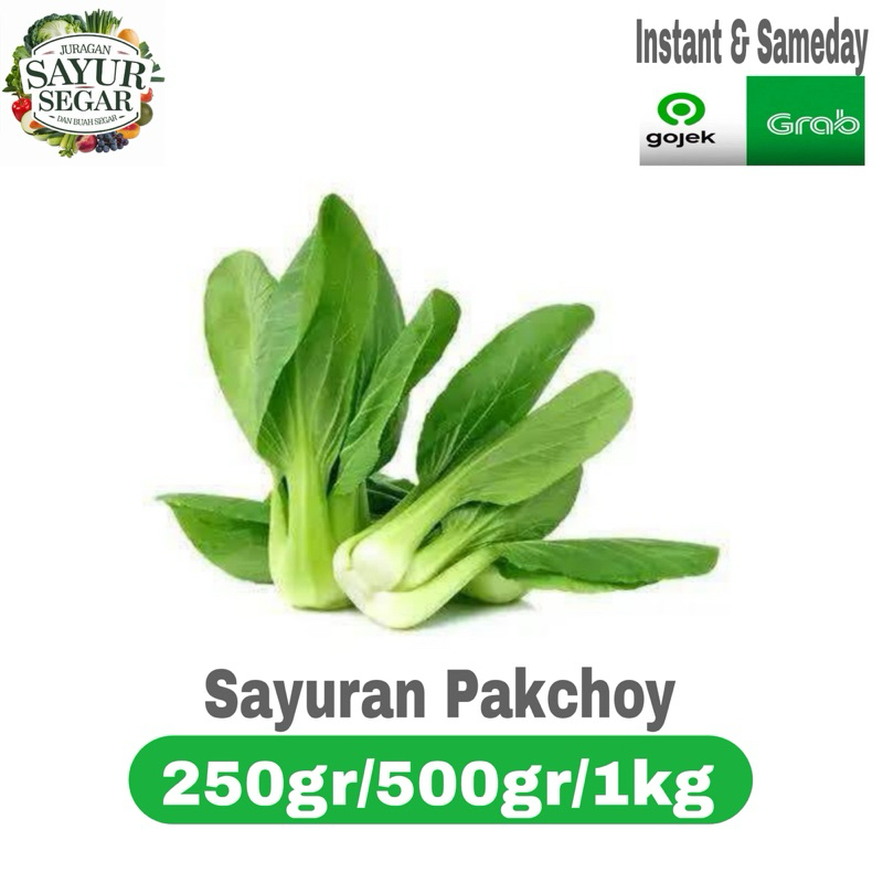 

Sayuran SAWI PAKCOY/SAWI PAKCHOY segar murah 250gr/500gr/1kg