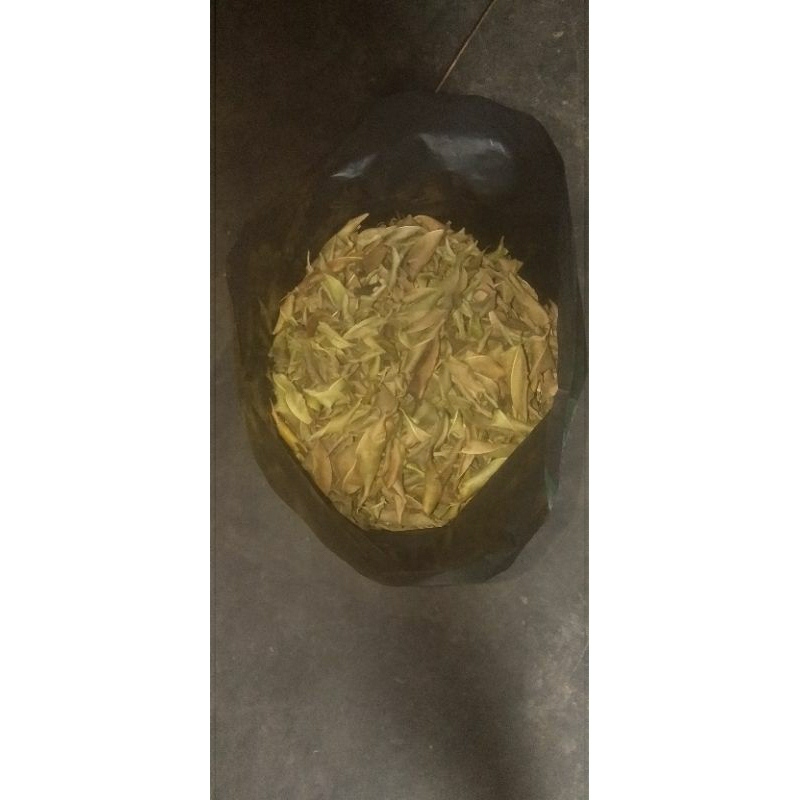 

Daun Beringin Kering Untuk Teh Kesehatan