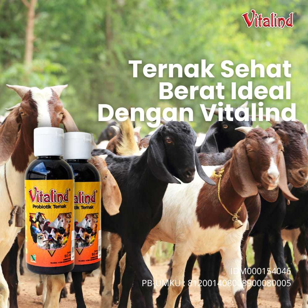 Vitalind Probiotik Ternak