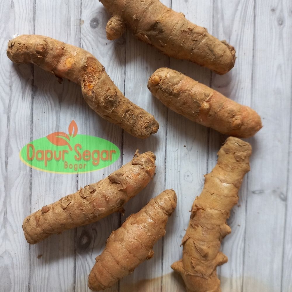 

Kunyit Kuning Koneng 250r segar