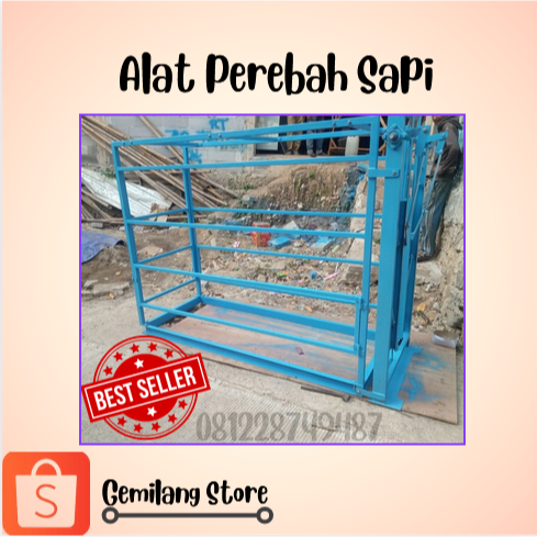 Alat Perebah Sapi Kurban Simpel