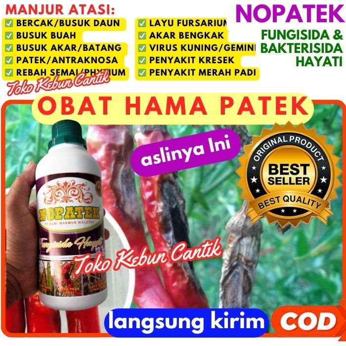 Nopatek Paling Ampuh Fungisida Hayati Obat Pestisida Anti Hama Penyakit Jamur Bakteri Busuk Patek Cabe dan Semua Jenis Tanaman Juga Mengatasi Rontok Atasi KRITING Keriting DAUN Kuning Pada Cabe dan Bikin Buah Lebat Panen Tinggi, COD Bukan Biopatek