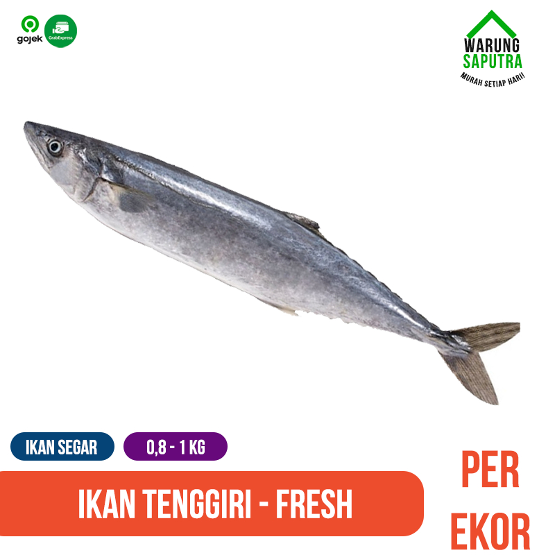 Ikan Tenggiri / Spanish Mackerel Segar Mati Utuh per Ekor