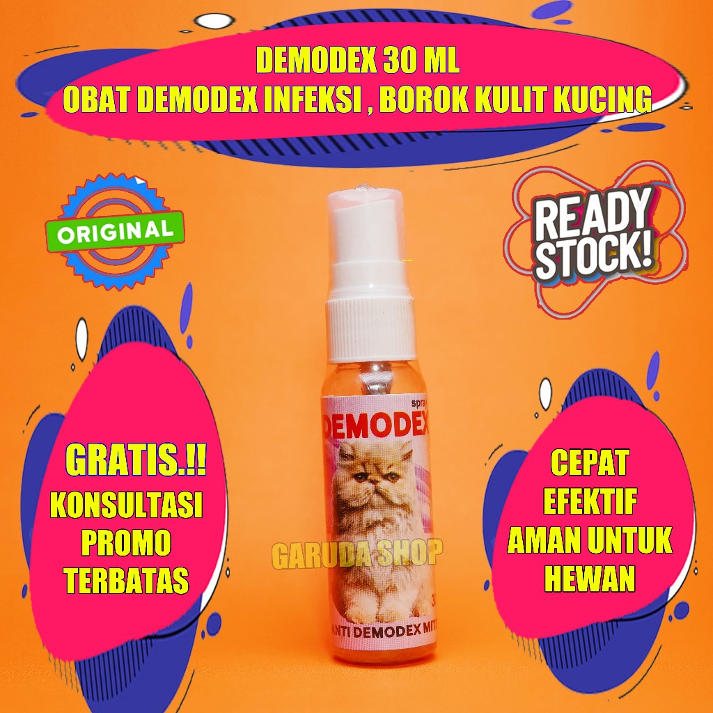 OBAT LUKA JAMUR KUCING BULU RONTOK BOTAK KORENG - DEMODEX