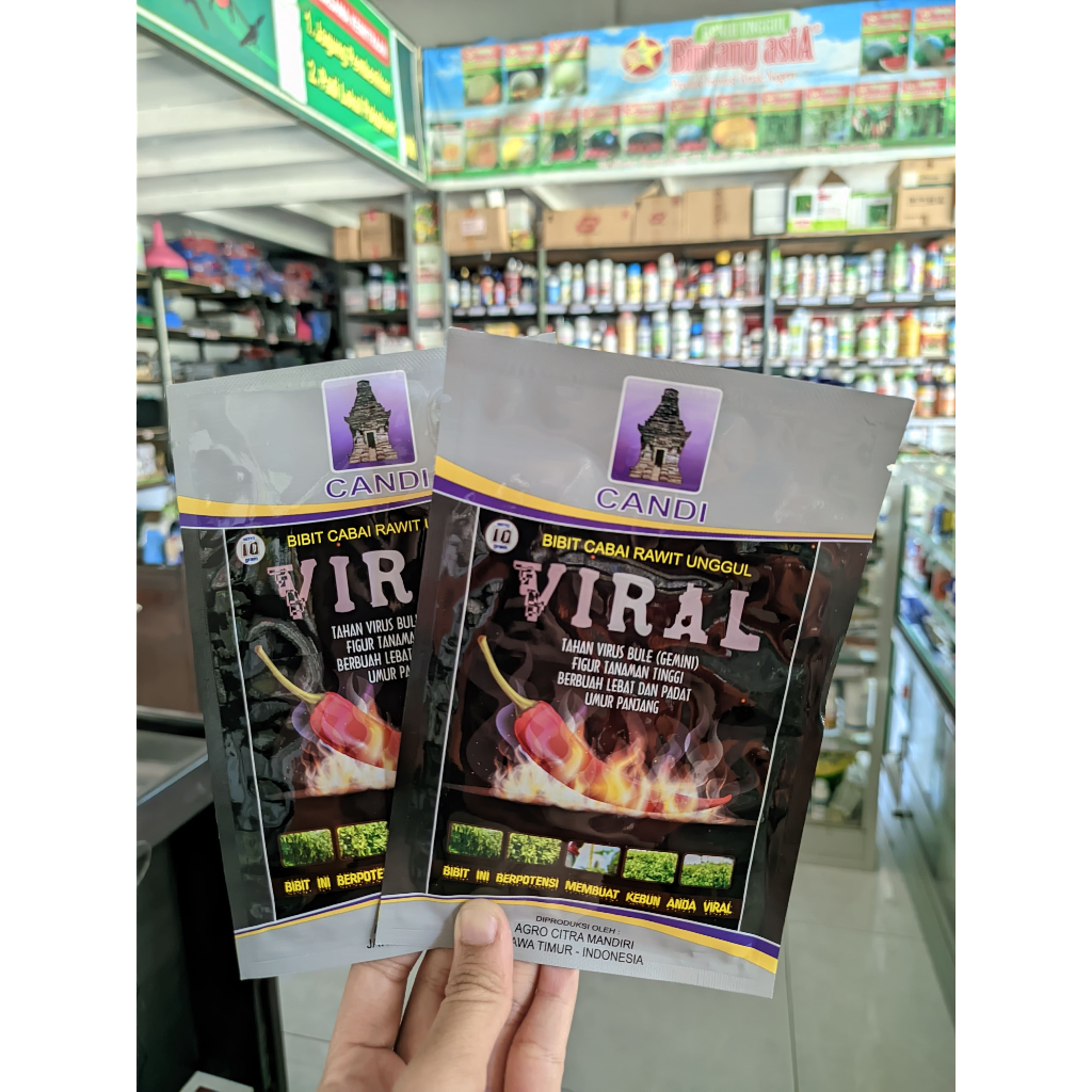 Benih Cabe VIRAL 10 gr
