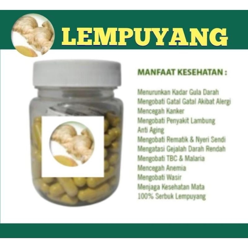 Kapsul Curah herbal Lempuyang isi 100 Anti Aging Kanker Diabetes Rematik kemasan BOTOL