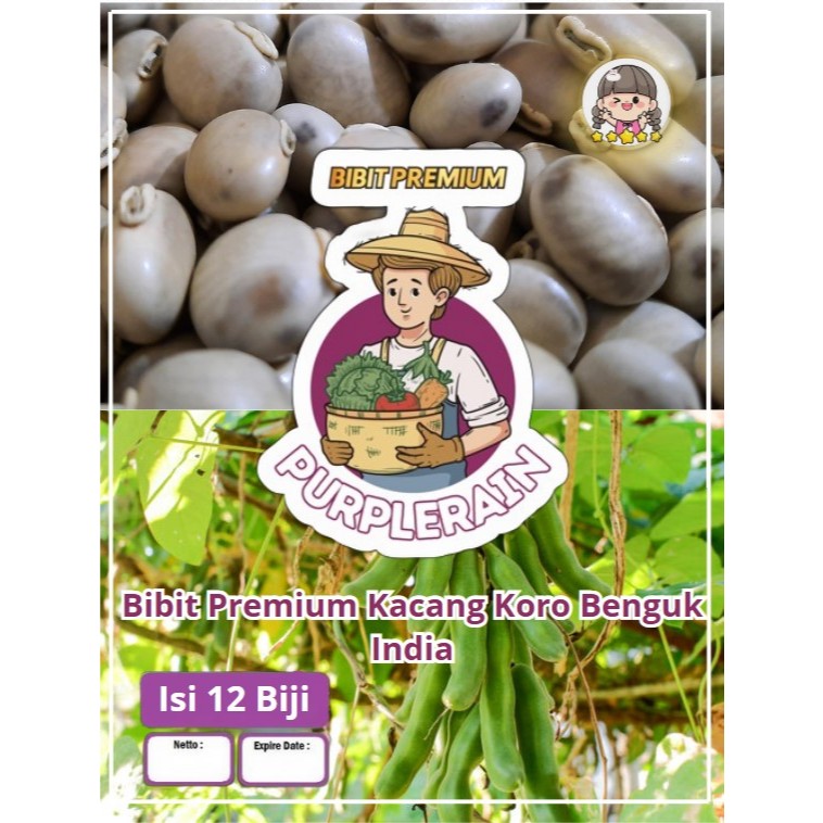 Bibit Premium Kacang Koro Benguk |Benih Kacang Koro Benguk |Koro Benguk