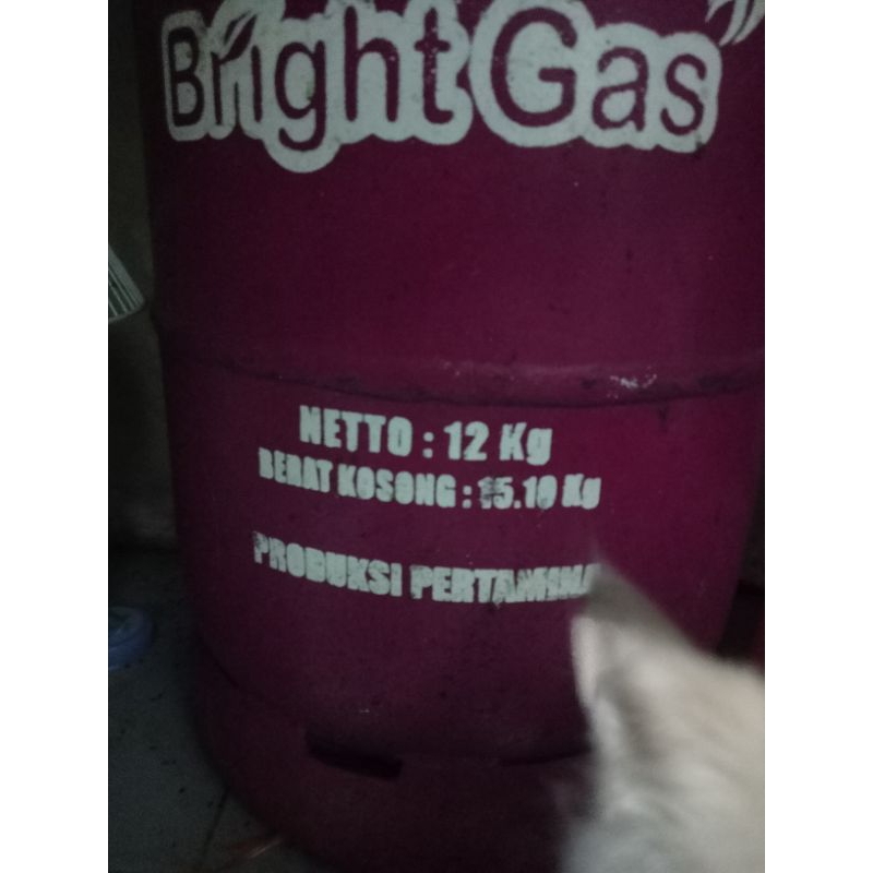Tabung Gas Bright pink 12kg Kosong