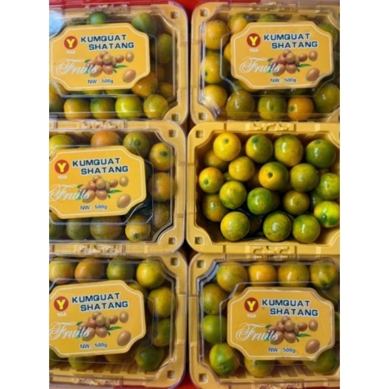 

Jeruk Honey Kimkit shatang Jeruk dimakan dengan kulitnya