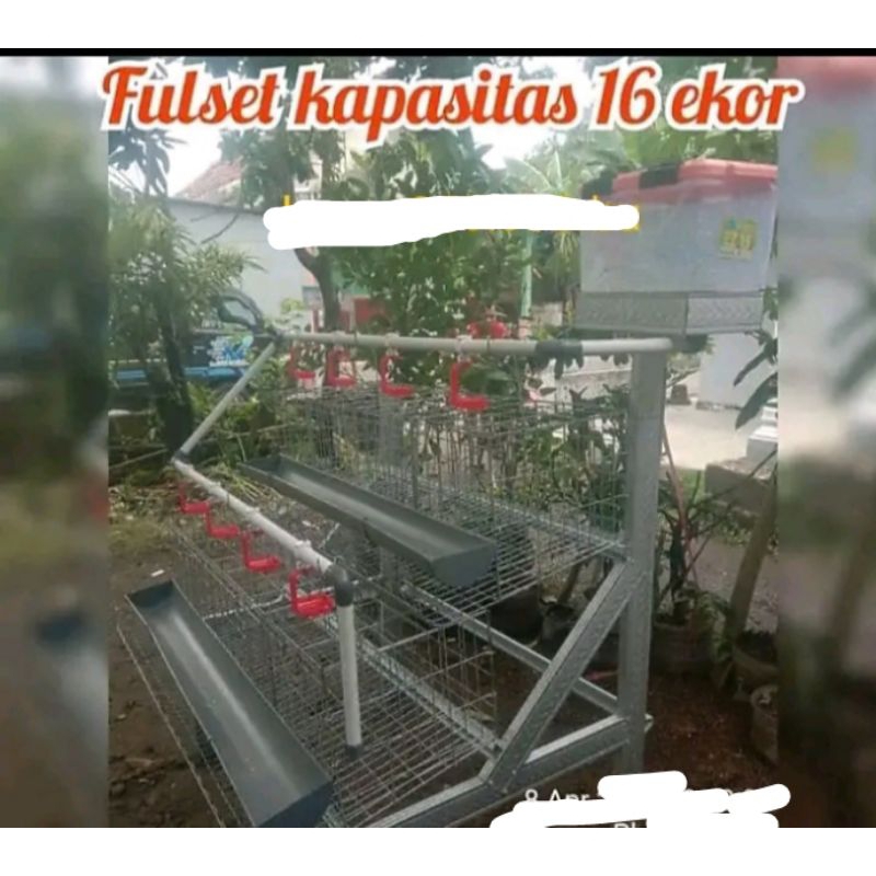 kandang ayam galvanis untuk skala rumah fulset isi 16 ekor ayam