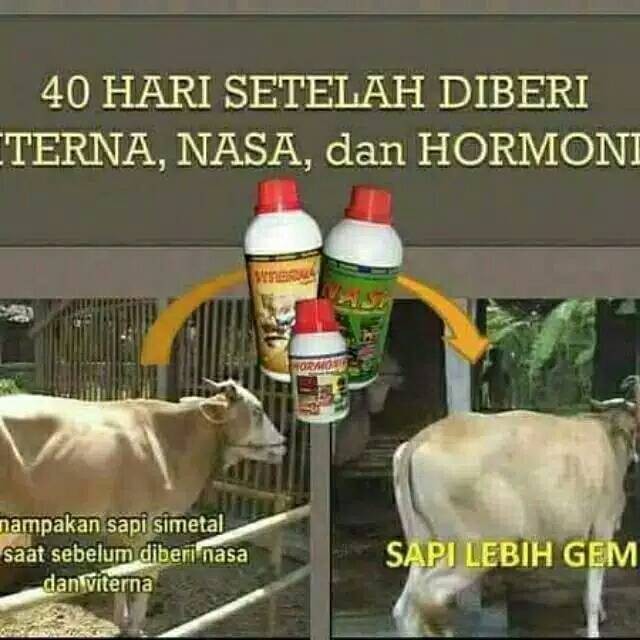 PAKET VITAMIN PENGGEMUK SAPI 3 PCS(HRN/NASA/VITERNA)ORIGINAL ORGANIK NASA