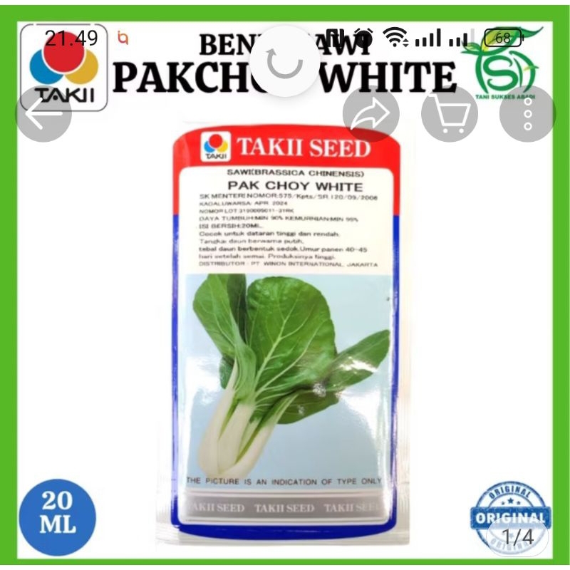 

sawi pak coy white 20gr