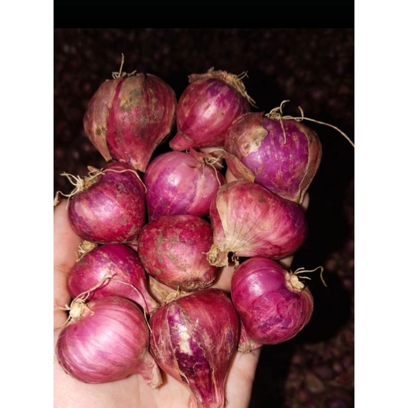 

BAWANG MERAH 1KG