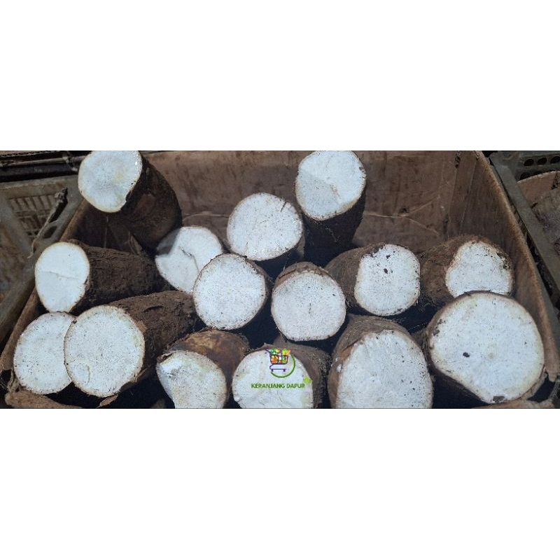 

Singkong sukabumi bisa di parut/singkong parut per 1 kg