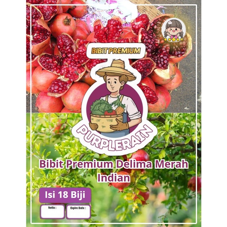 BIbit Premium Delima Merah India|Biji Benih Delima Merah India|Biji Bibit Delima Merah India