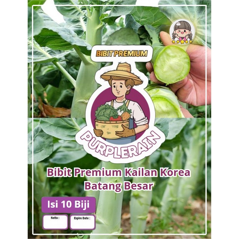 Bibit Premium Kailan Korea Batang Besar | Benih Kailan | Kailan Batang Besar | Kale Cina