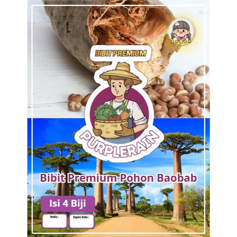 Bibit Premium Pohon Hias Baobab|Benih Pohon Kaki Gajah |Tanaman Baobab