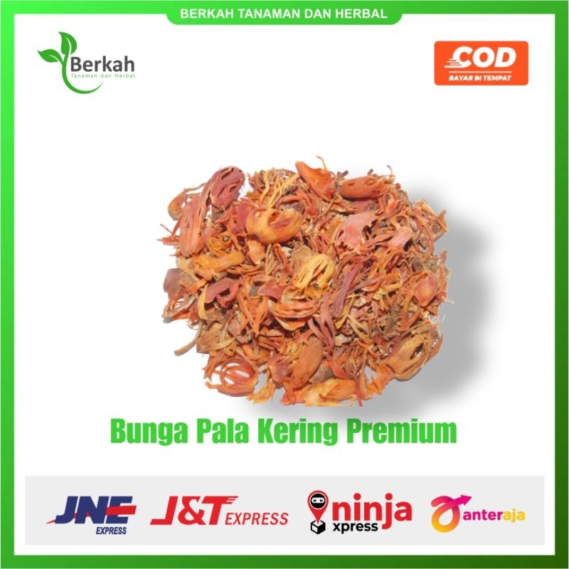 

Bunga Pala Kering Segar / Fuli / Sempra Pala Kering 1kg Kualitas Premium
