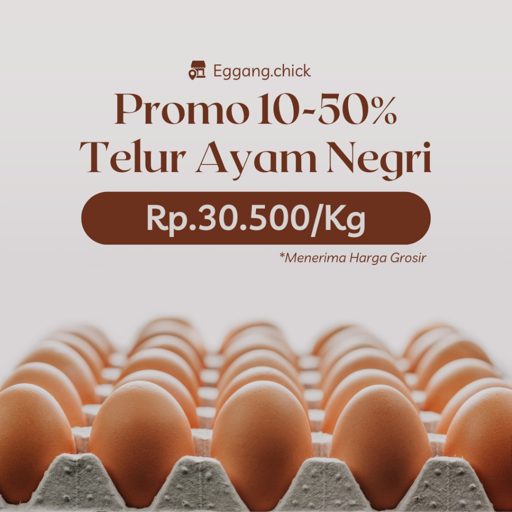 

Telur Ayam Negeri 1Kg (Gratis 1kg)