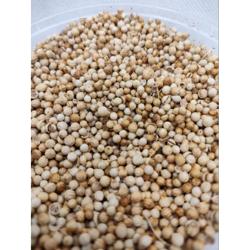 

KETUMBAR BULAT BERSIH ALAMI / CORIANDER