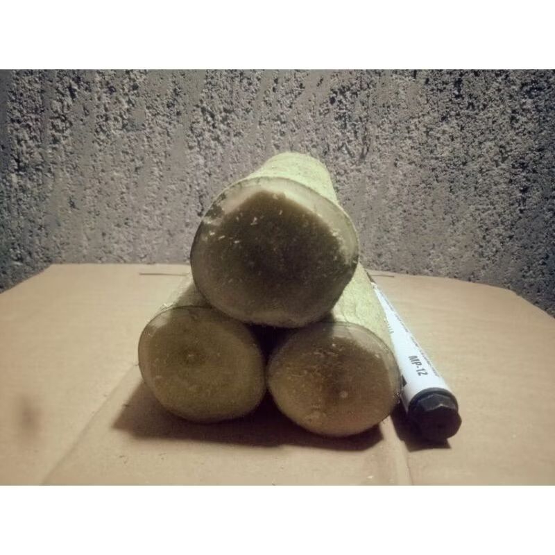 isi 1 kg batang stek bonsai sancang besar siap tanam