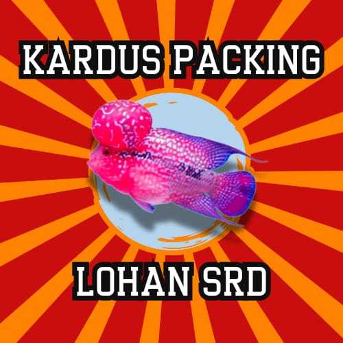 

KARDUS PACKING LOUHAN SRD & CENCU 5-15CM