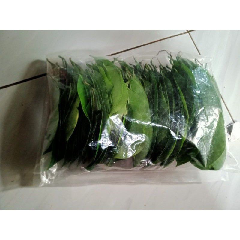 

daun sirsak 50 lembar fres