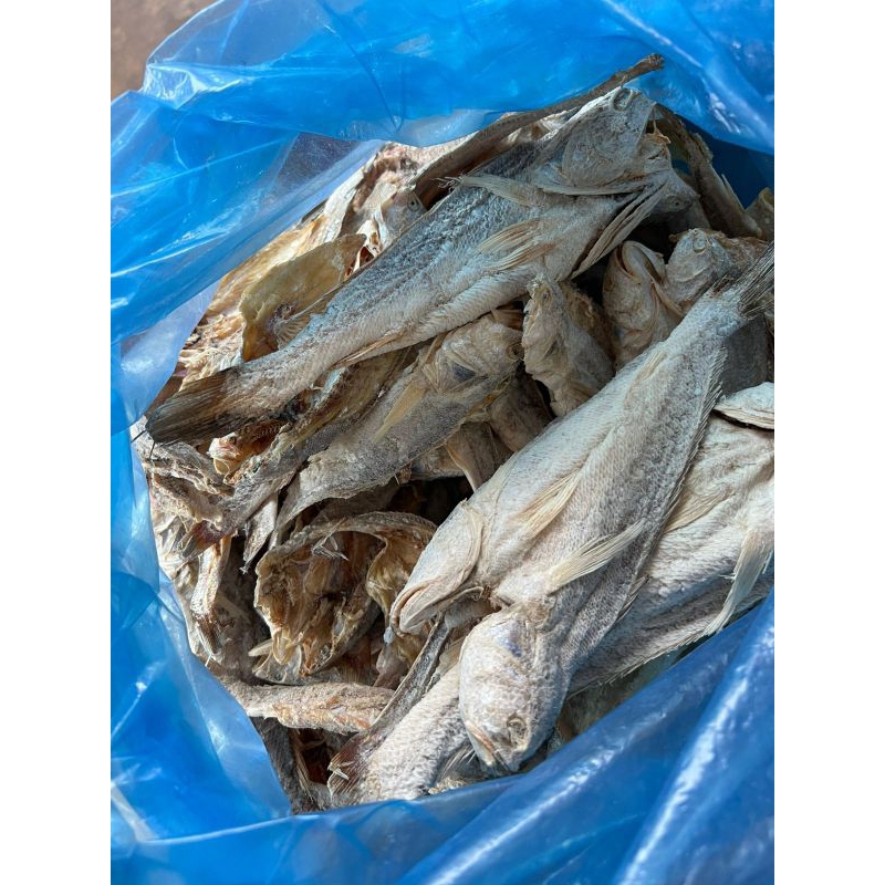 

IKAN ASIN GULAMA 250 GR - IKAN ASIN SAMGE - IKAN ASIN BENGKALIS - IKAN MASIN