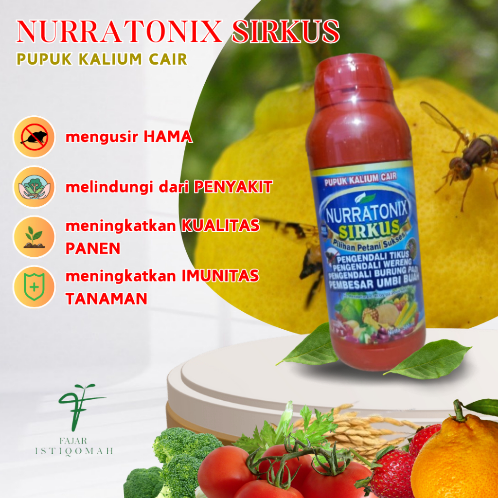NURRATONIX SIRKUS ISI 500ML OBAT HAMA LALAT BUAH PADA JERUK, PENGENDALI LALAT BUAH, OBAT HAMA LALAT