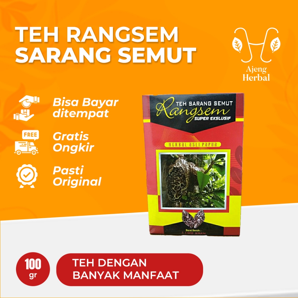

Super Ekslusif Rangsem 100 gr | Herbal Asli Papua Teh Sarang Semut BERKHASIAT