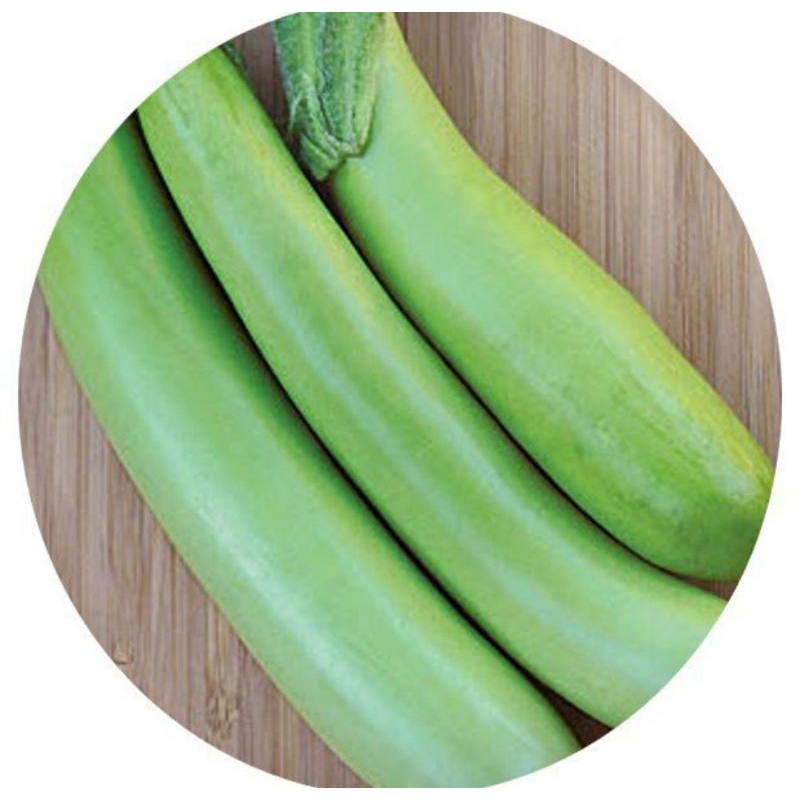 

INSTAN - TERONG HIJAU 500GRAM